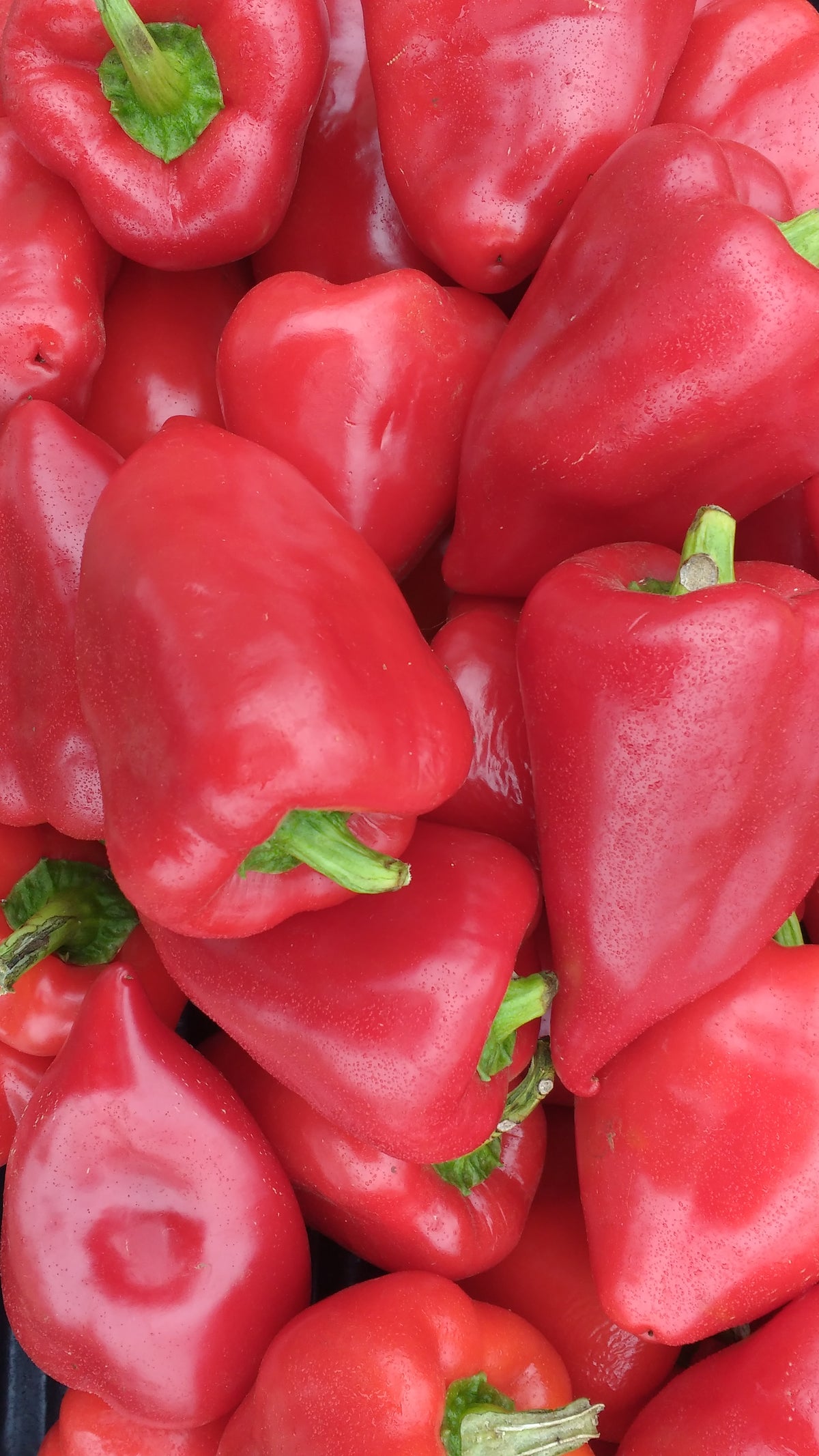 Poivron Sweet Salsa